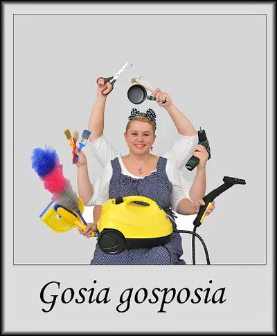 Firma Sprzatajaca Gosia Gosposia